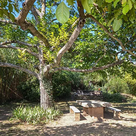 Tatil Evi Cozy In St Quentin La Poterie Saint-Quentin-la-Poterie